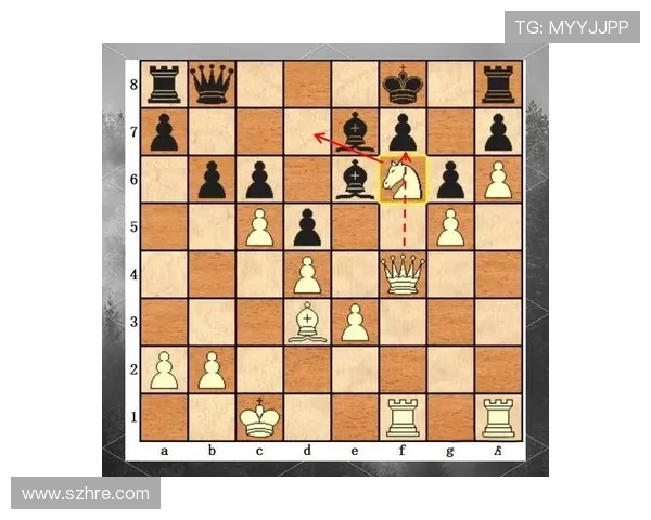 上海羽毛球队技术对比深度解析与战术优势探讨 上海羽毛球队技术对比深度解析与战术优势探讨