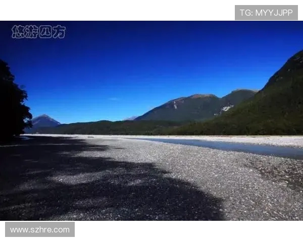 新西兰对阵安哥拉精彩直播链接及赛前分析尽在这里 新西兰对阵安哥拉精彩直播链接及赛前分析尽在这里