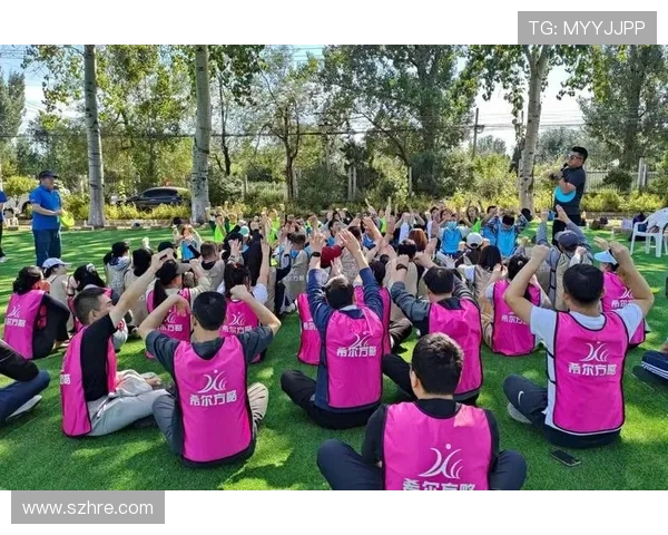 深圳飞盘队实力解析：探索这支新兴团队的成长与挑战