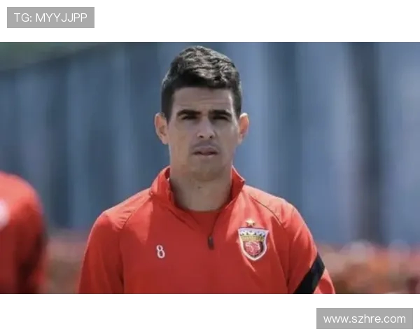 上海极限运动队实力深度对比与发展潜力分析